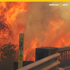 Incendio Lilac consume más d 4 mil acres y destruye 65 estructuras