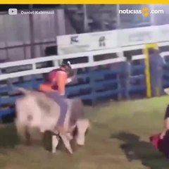 Muere al caerle toro encima