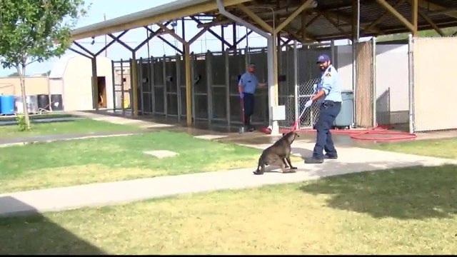Noticias Laredo 5pm 120517 - Clip - refugio