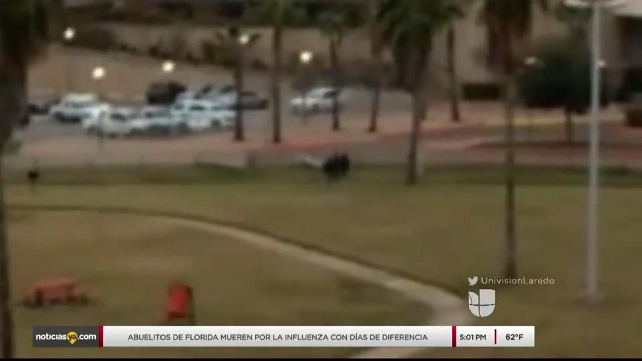 Noticias Laredo 5pm 020218 - Clip - puente 1