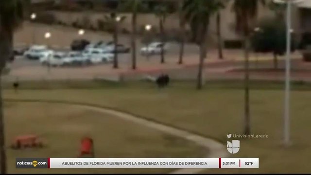 Noticias Laredo 5pm 020218 - Clip - puente 1