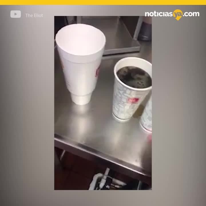 ilusión óptica de refresco viral