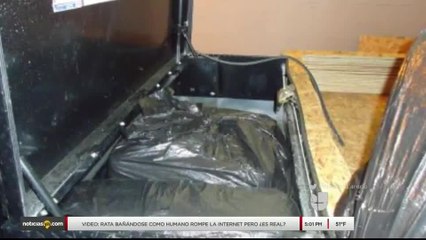 Noticias Laredo 5pm 012918 - Clip Droga