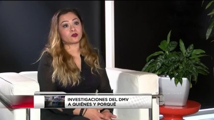 BELENSMOLE LIVE INVESTIGACIONES DMV