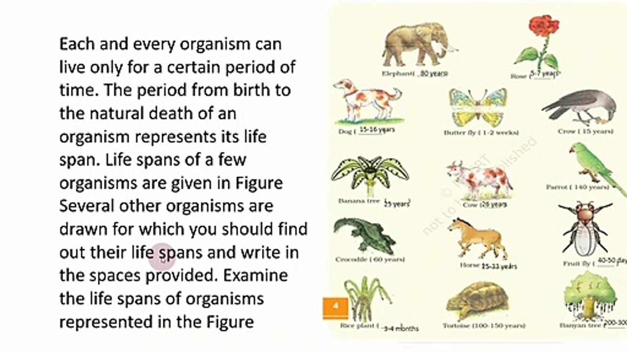 Reproduction in organism lec-1, NEET/11th/12th (K.K. Sir) What is reproduction definition in biology, What are the 4 types reproduction, What is types of reproduction, What is reproduction in animals, What is importance of reproduction,