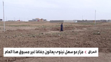 موسم زراعي شحيح في نينوى بالعراق.. ما تداعياته؟