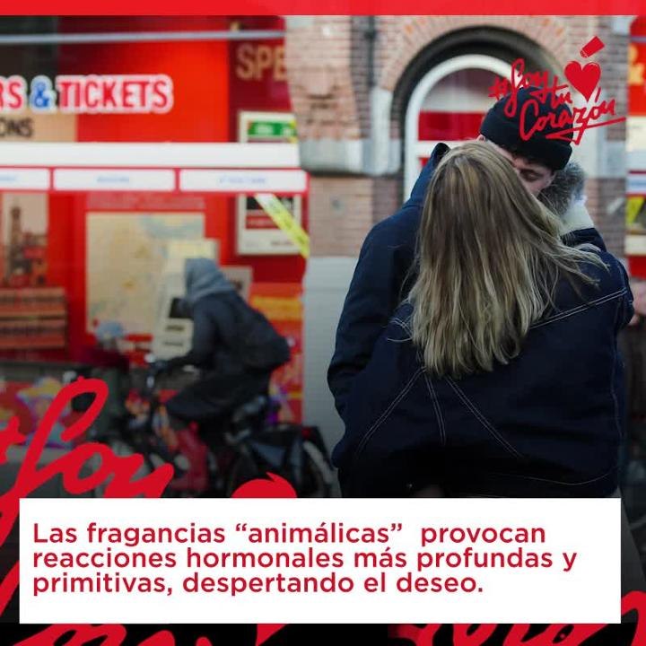 Fragancias perfumes soy tu corazón