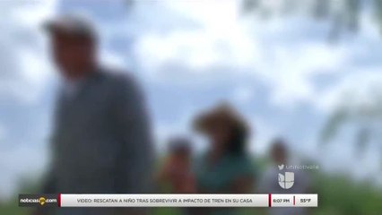 Nueva propuesta podría beneficiar a trabajadores indocumentados