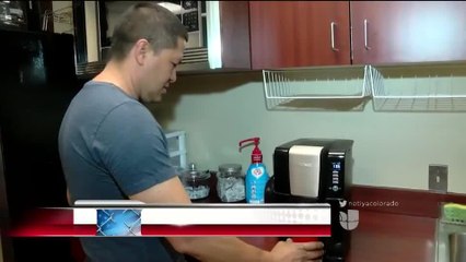 belensmole live fin tps honduras