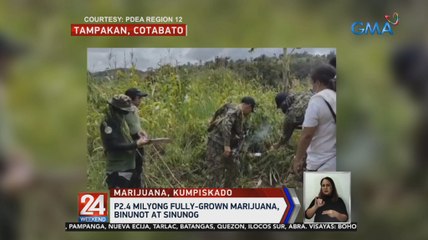 P2.4 milyong fully-grown marijuana, binunot at sinunog | 24 Oras Weekend