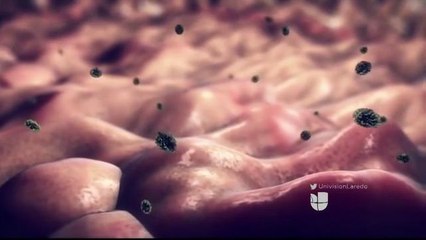 Noticias Laredo 5pm 012318 - h3n2