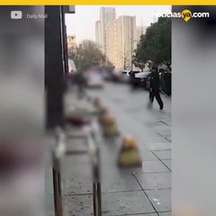 Policía en China mata brutalmente a perro en la calle