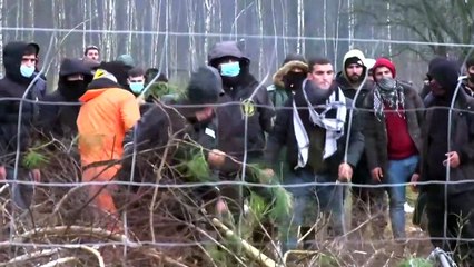 فيديو: بولندا تحتجز  مهاجرين عالقين على حدودها مع بيلاروس
