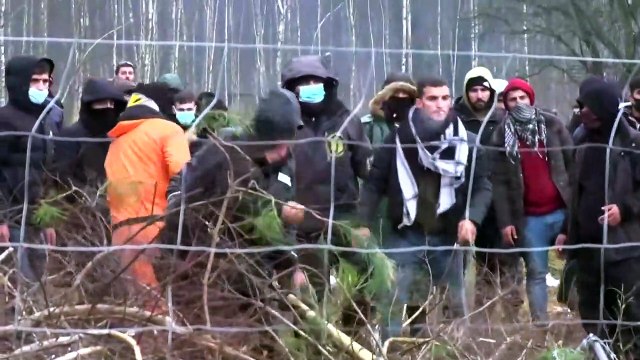 فيديو: بولندا تحتجز مهاجرين عالقين على حدودها مع بيلاروس
