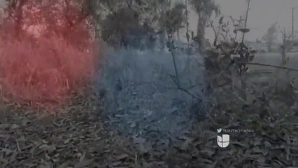 Mata a batazos a joven porque tenía curiosidad sobre asesinar a alguien