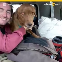 EMOTIVO RESCATE DE PERRITA QUE CAYÓ A UN POZO