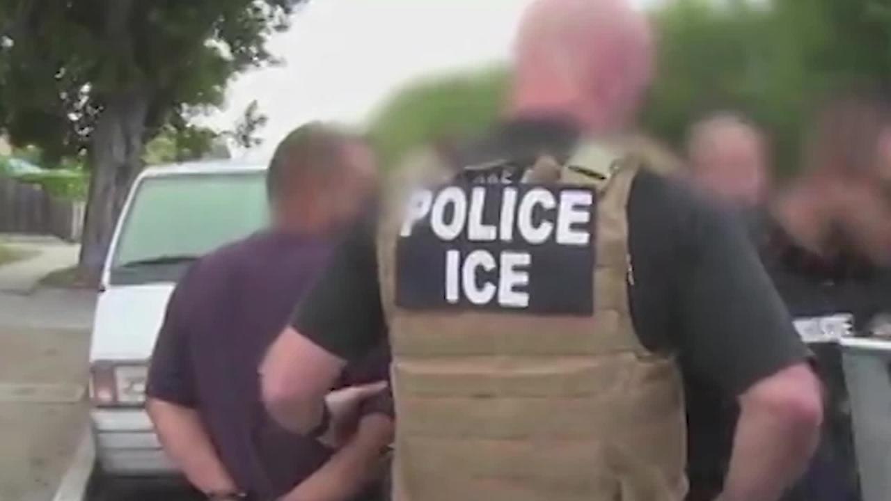 DACA-FALTAS