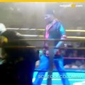 06 Boxeador Venezolana
