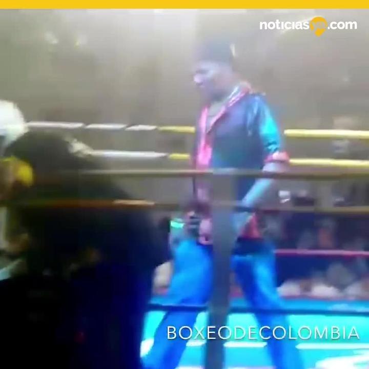 06 Boxeador Venezolana