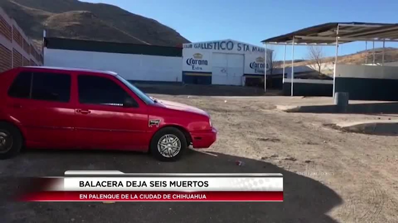 Pelea de gallos