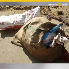 Encuentran mujer asesinada y mutilada con 8 meses de embarazo.