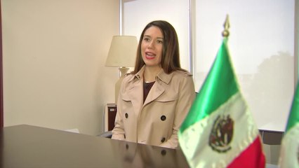 Download Video: Voto chilango elecciones México Gabriela Williams