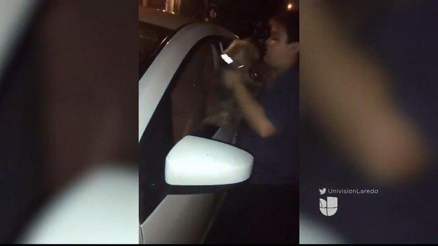 Noticias Laredo 5pm 022118 - Clip Mascotas