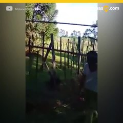 Captado teniendo sexo con vaca