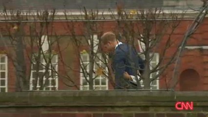 WM16x9N_IN-31MO_PRINCE HARRY_ MEGHAN MARKLE POSE TOGETHER_CNNA-ST1-10000000044d99e3_201_2W.wmv