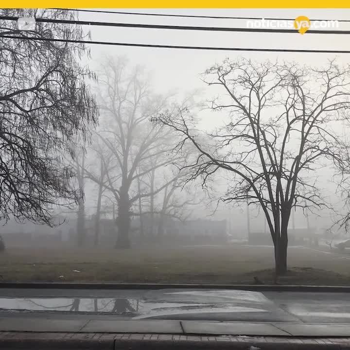neblina Maryland