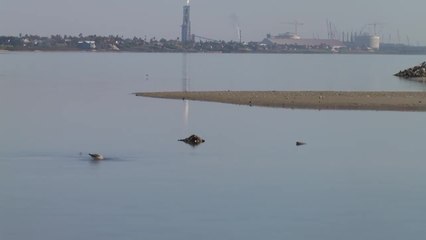 CC 11-27 JUMP 10PM PKG