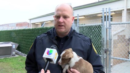 CC 02-08 CRUELDAD PKG