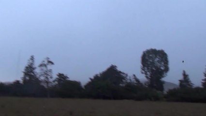 PERU DOVE HUNTING [HD, 1280x720]