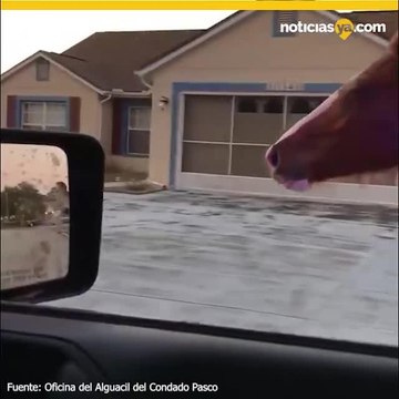 VIDEO: Oficial intent%c3%b3 detener un caballo que se escap%c3%b3 en Florida