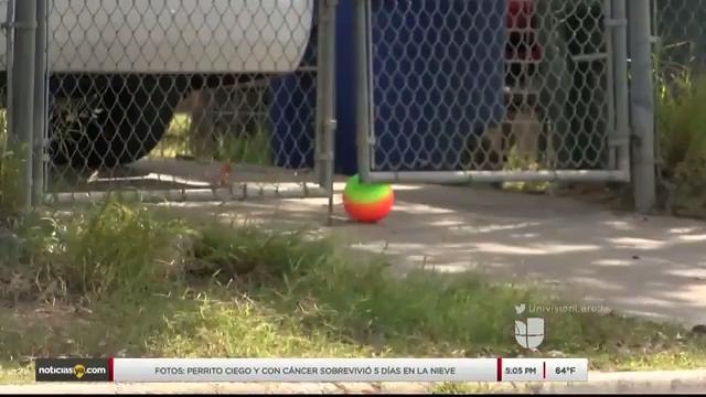 Noticias Laredo 5pm 012218 - Clip - atropellado