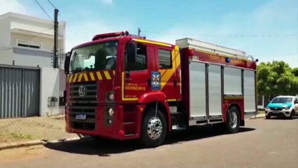 Corpo de Bombeiros é acionado para capturar porco-espinho no Bairro Canadá, em Cascavel