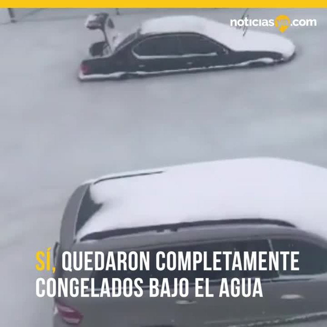 Carros congelados