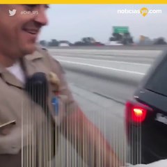 VARIOS POLLOS PROVOCAN EL CIERRE DE LA AUTOPISTA 605 EN CALIFORNIA