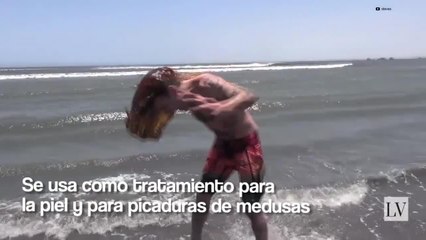 Datos curiosos sobre la orinoterapia