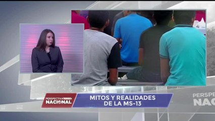 ¿Inmigración en cadena y lotería de visas amenazan la seguridad de EE.UU.?