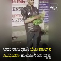 Video Of Vegetable Seller Washing Coriander In Drain Water Goes Viral.