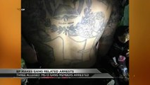 gang arrests