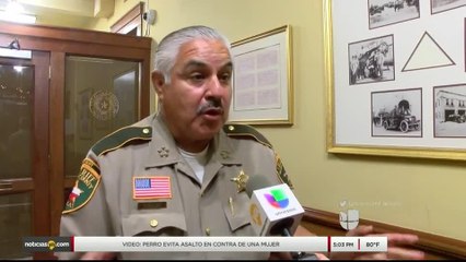Noticias Laredo 5pm 112717 - Clip - mascotas