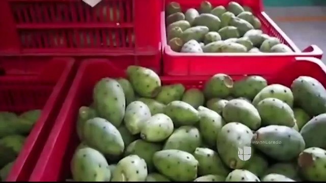 Noticias Laredo 10pm 091517 - Clip - tuna