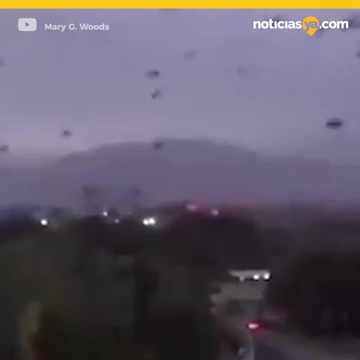 Cielo de cuervos