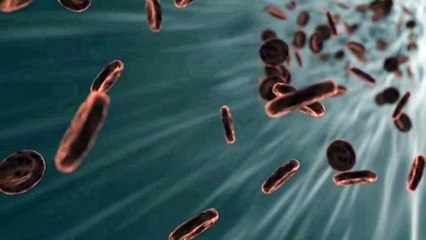 Cured Anemia Subliminal | Increase Red-Blood Cell Count ...