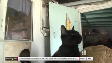 Incendio en Desert Hot Springs