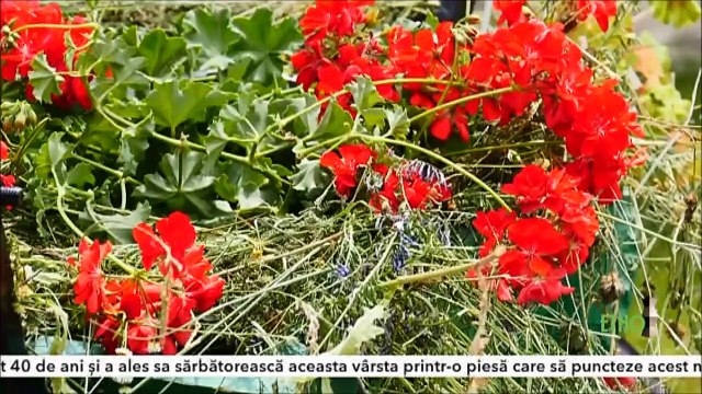 Nina Stamate - Mugurel de salcioara (Vatra cantecelor noastre - ETNO TV - 22.07.2021)