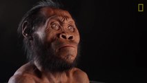 Homo naledi, Descubrimiento de restos humanos en Sudáfrica