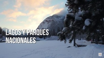 ¿qué puede disfrutar un mexicano en Canadá ahora que no necesitan visa_